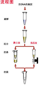 dna凝胶回收试剂盒